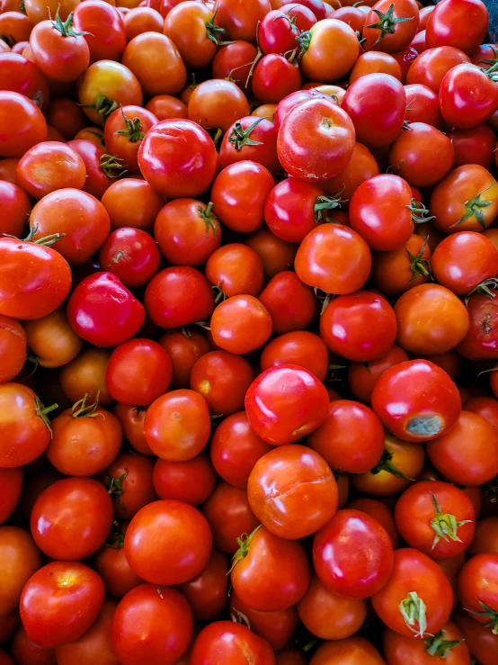 an abundance of cherry tomatoes on display at the produce market