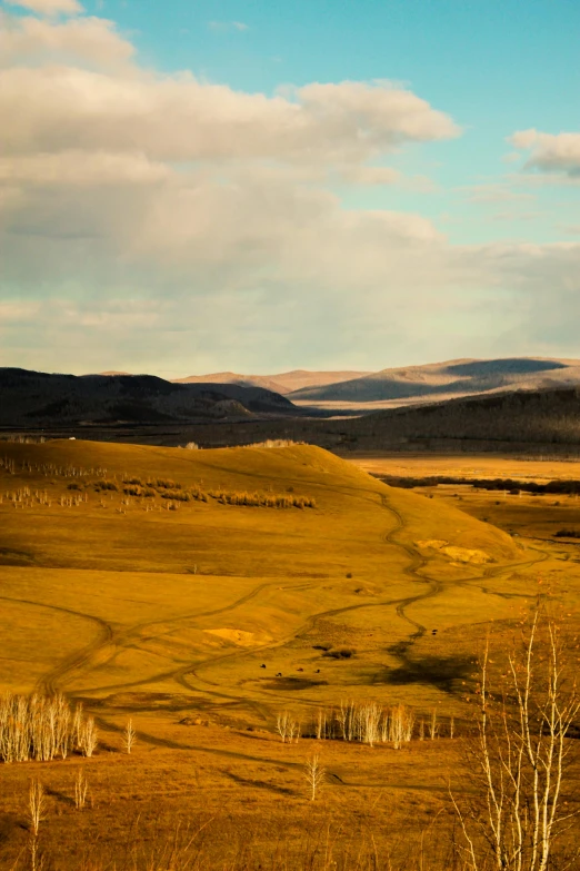 view over the plain with a road going through it