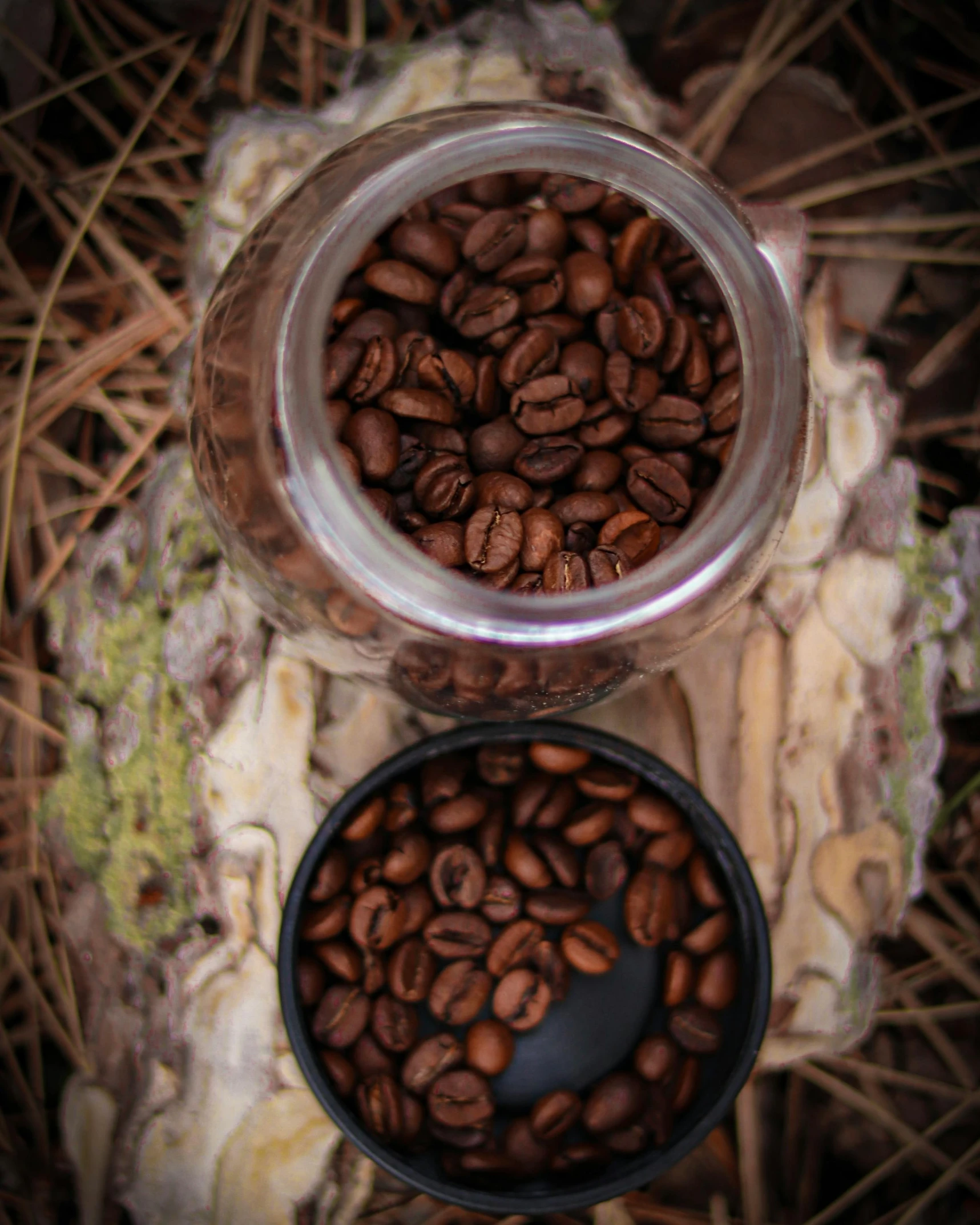 coffee beans that have been roasted and sitting in a jar