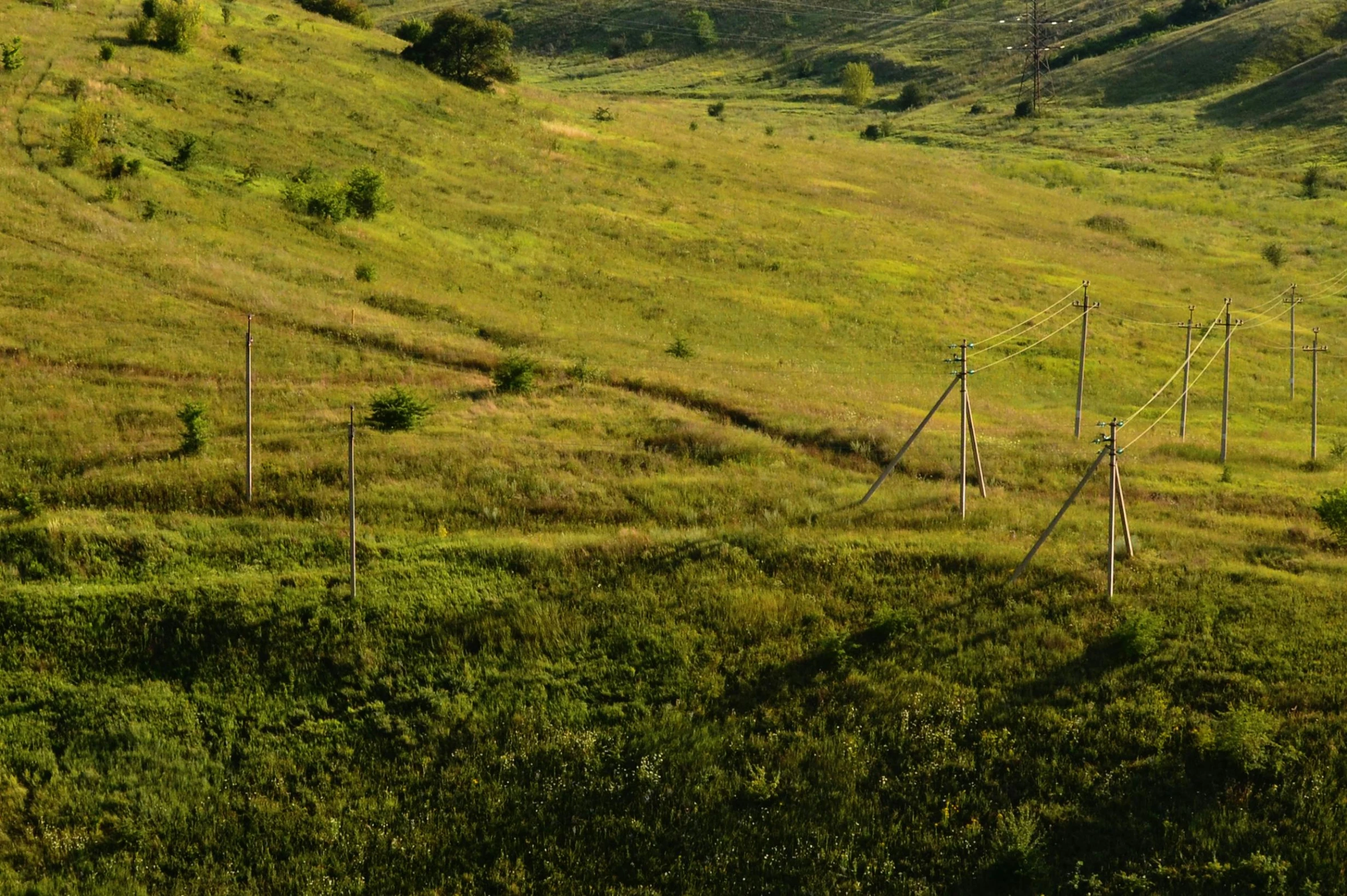 a hilly grassy hillside with electric poles extending up to the edge