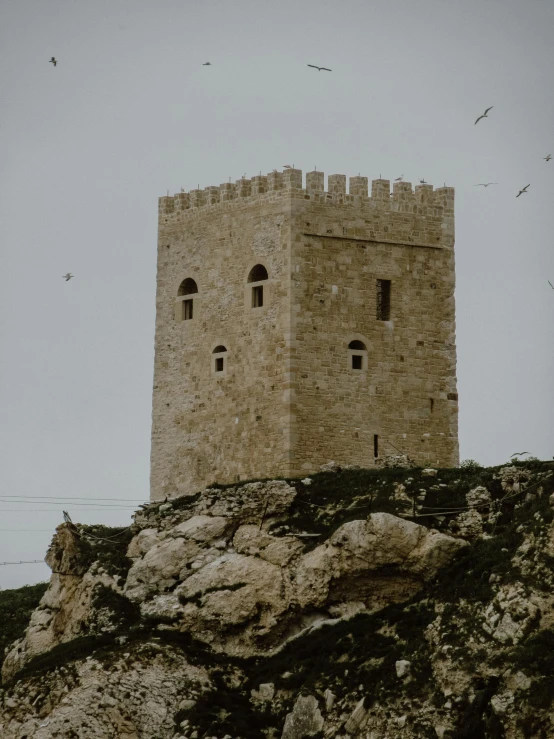 a stone castle stands on a cliff as birds fly by