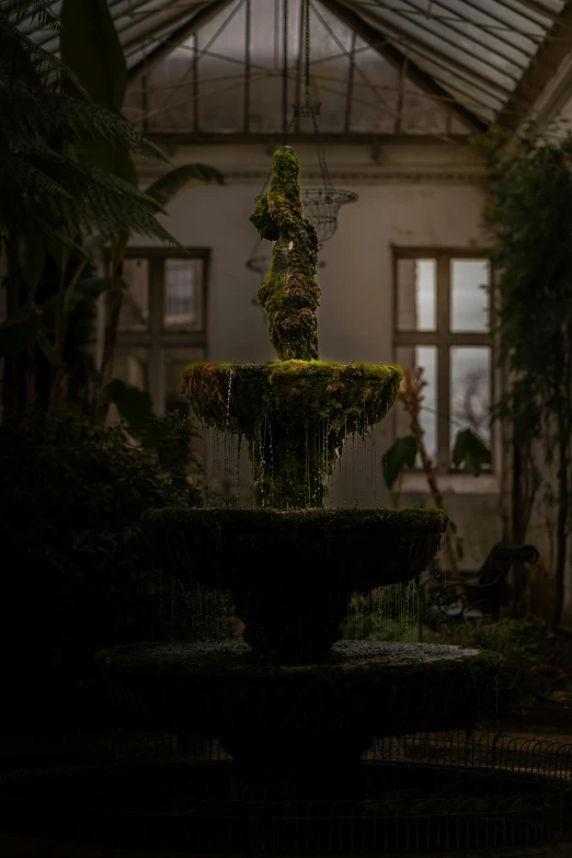 the fountain is next to an array of plants