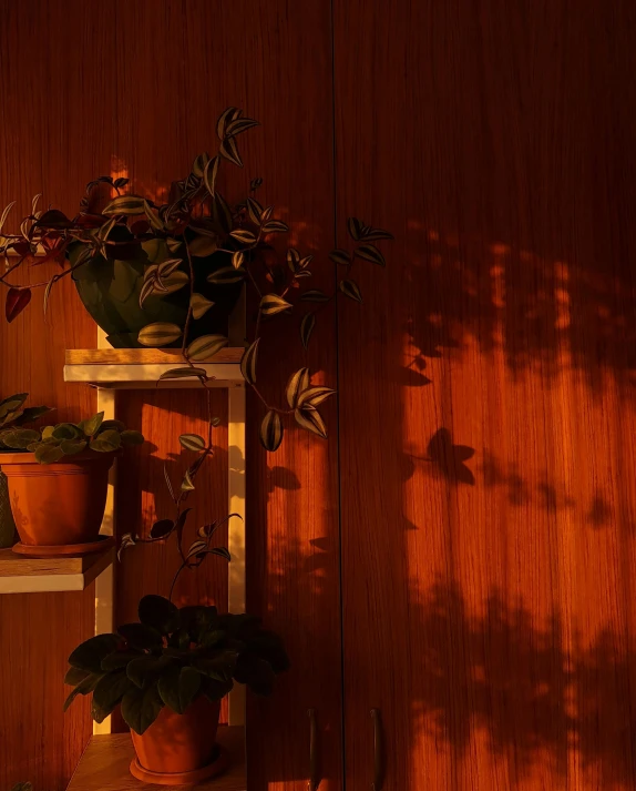 three plants are on a shelf beside the door