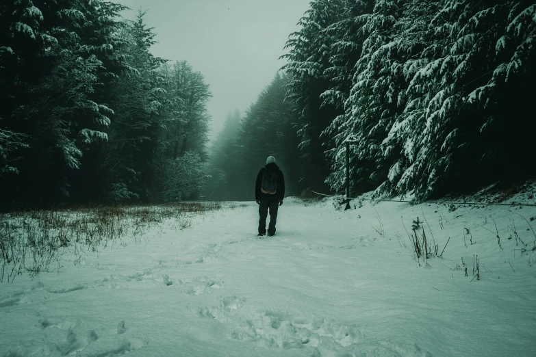 a man walking down a snow covered road