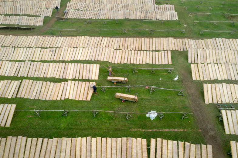 the large number of mattresses have been laid out in rows