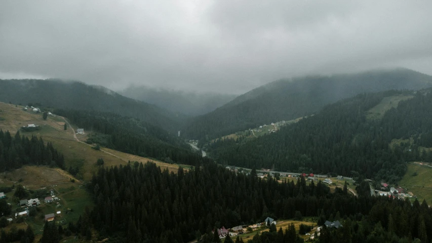 there are many trees and buildings on the hillside