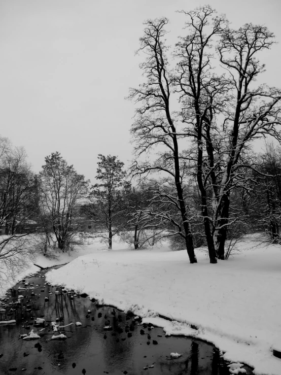 there is a pond and some trees that are in the snow