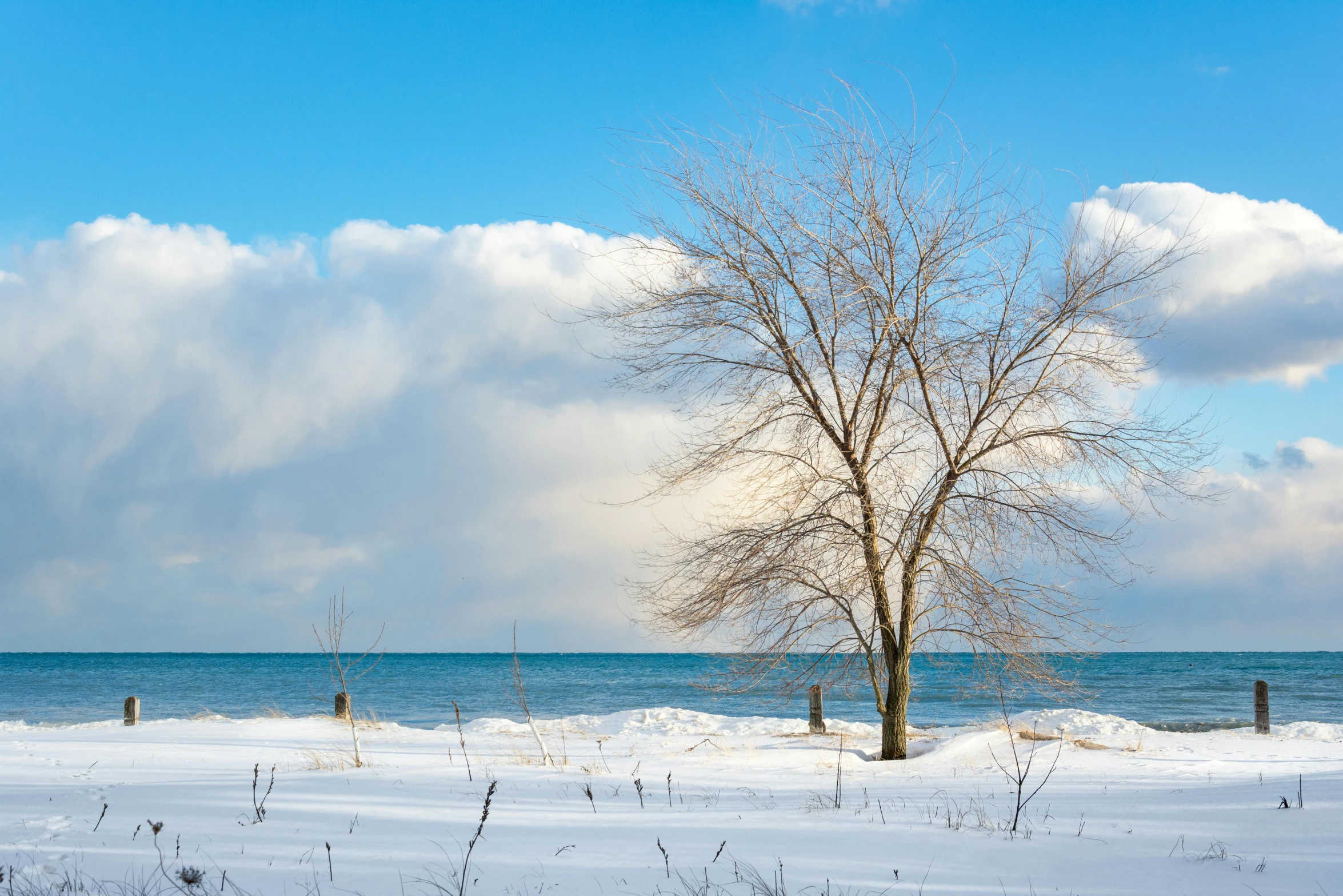 a snow covered beach with no one in it