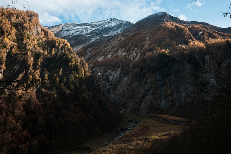 a river meanders through a forested area near a mountain