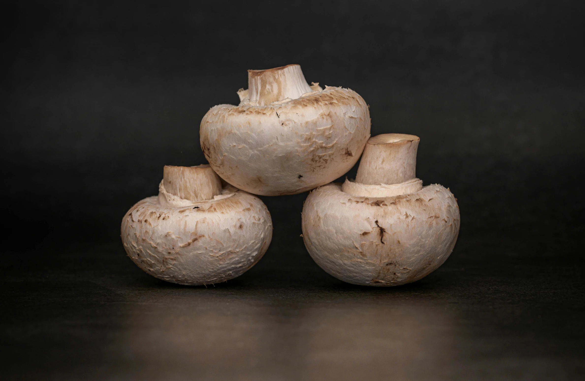 a group of mushrooms sitting next to each other on a table