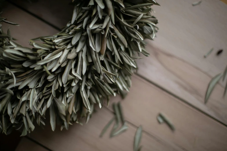 the top view of a large wreath made from green leaves