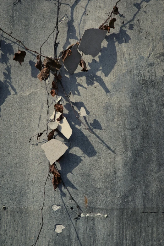 a fallen leaf that is on a ledge