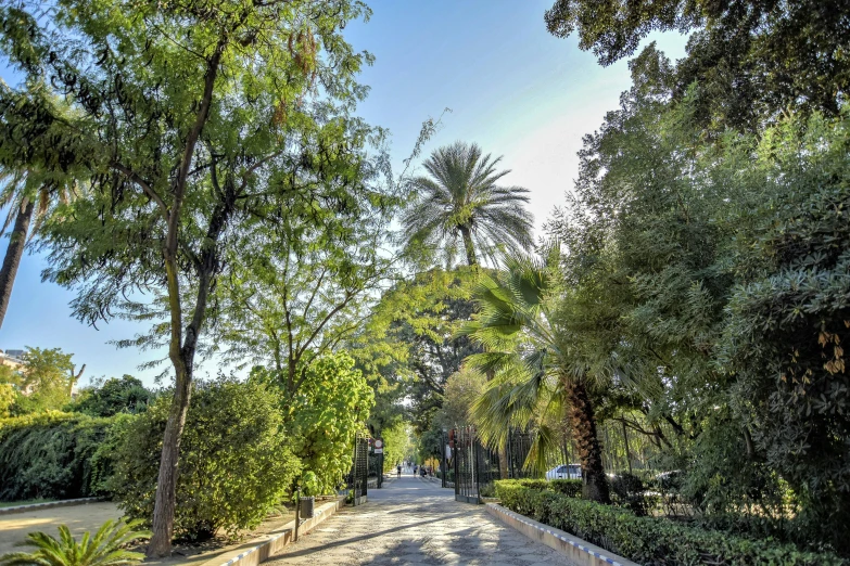 a park area, with many trees, people and cars