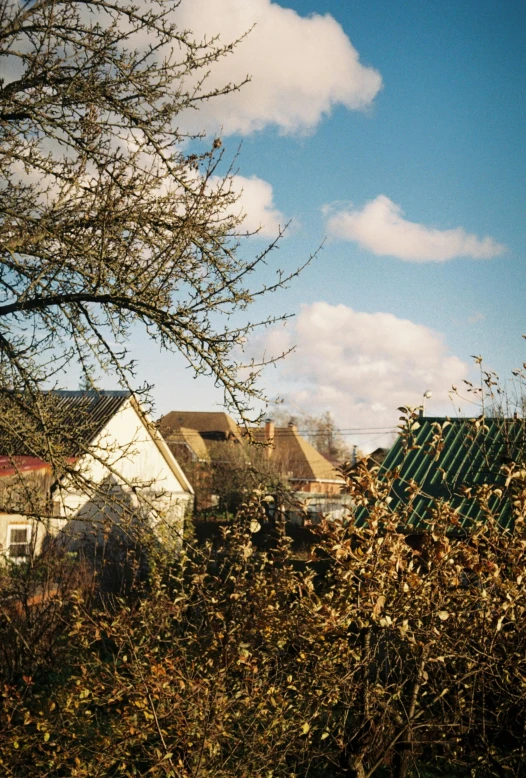a view of a residential area through trees