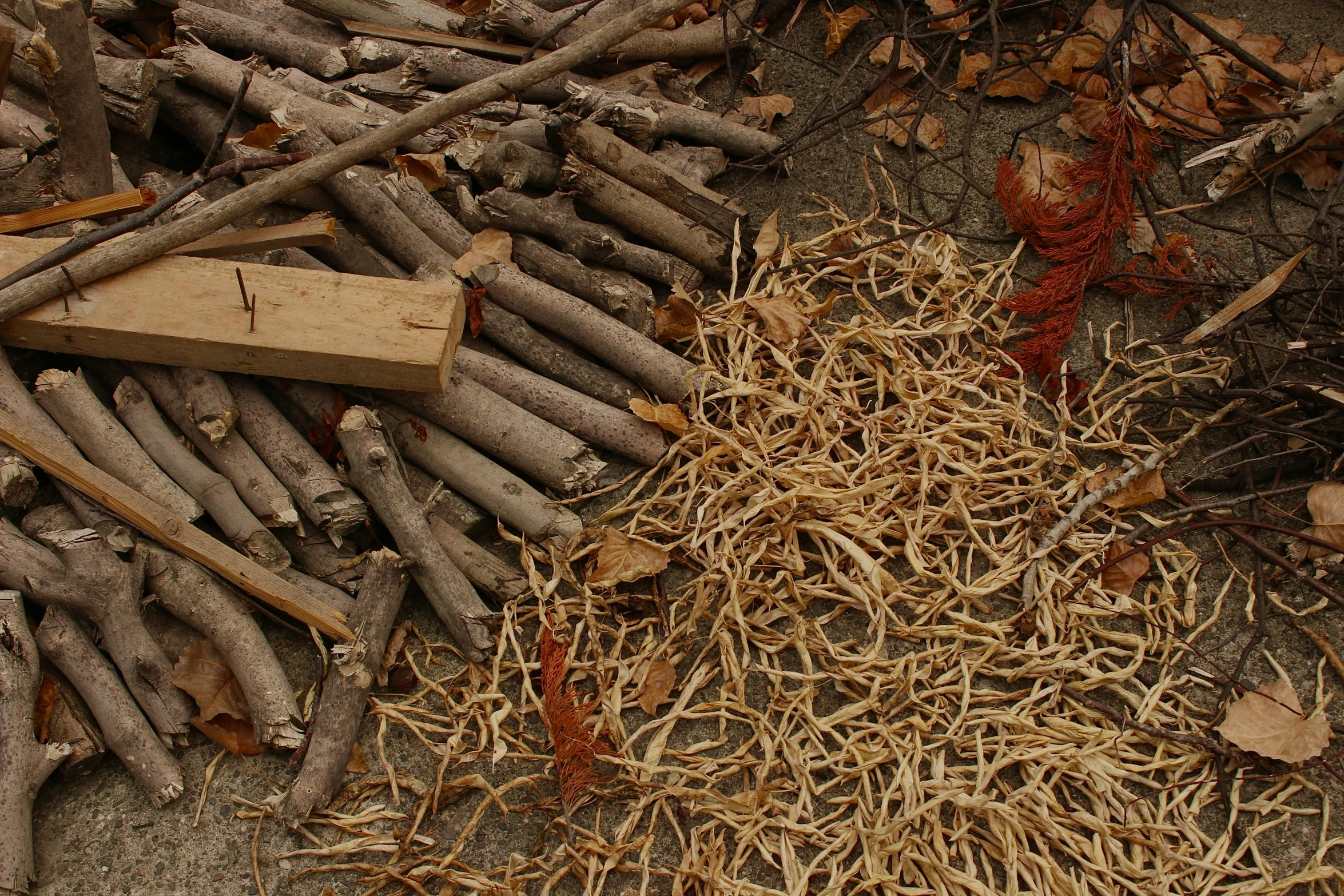 many wood sticks are gathered together on the ground