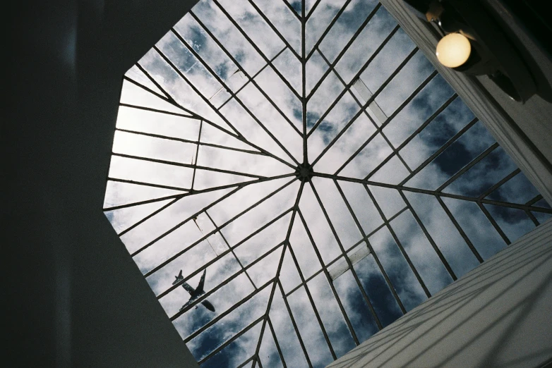 the glass roof on a building has a plane flying overhead