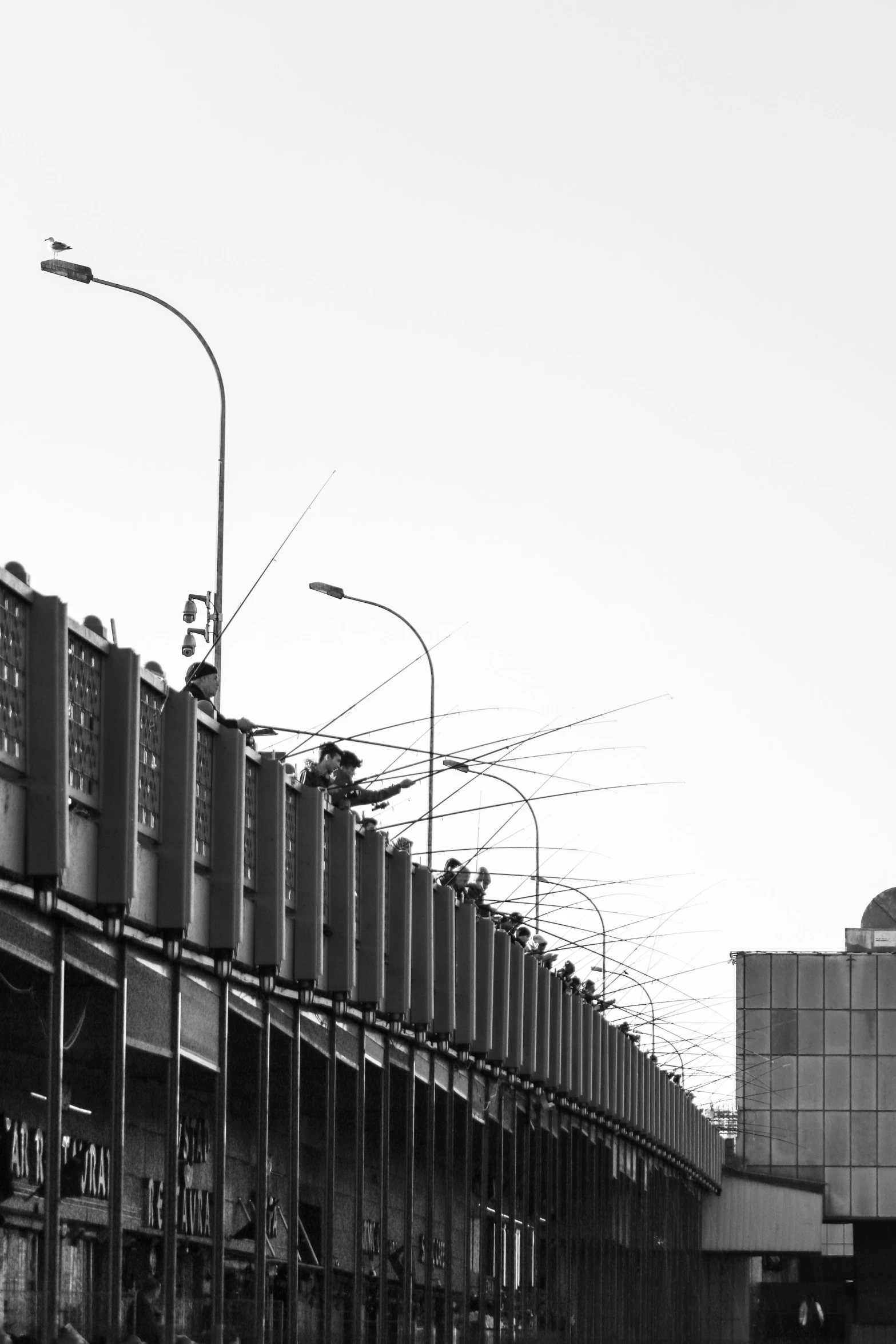 a very long row of industrial pipe tanks with street lamps in them