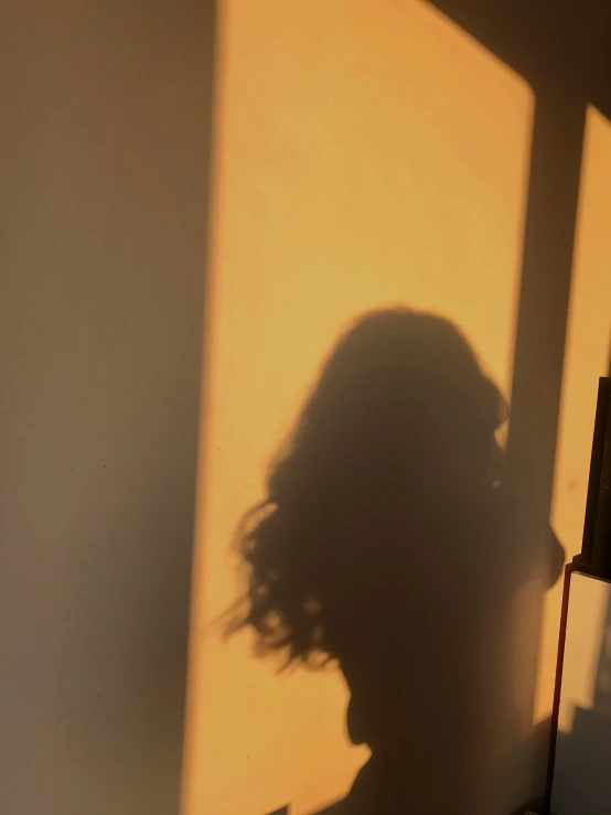 the silhouette of a woman with a frizzly hairdo