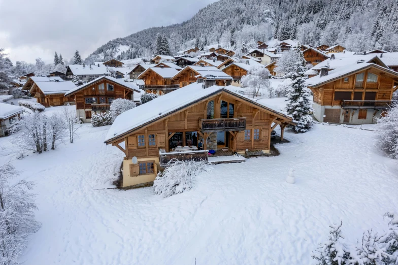 snow covered houses and trees in the mountains