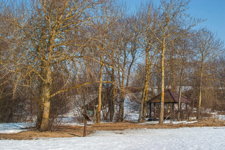 a small house next to a forest on a snowy hillside