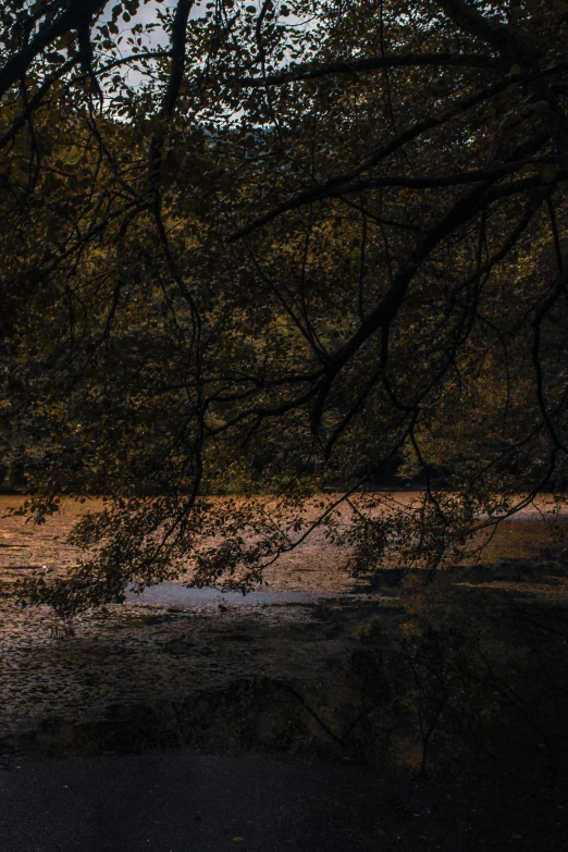 a flooded area is shown with no one in it