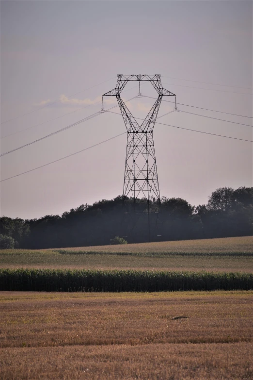 the sky is overcast and the power lines are above