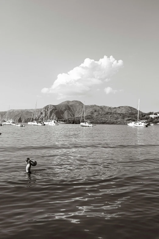 the surfer is riding in the water toward the shore