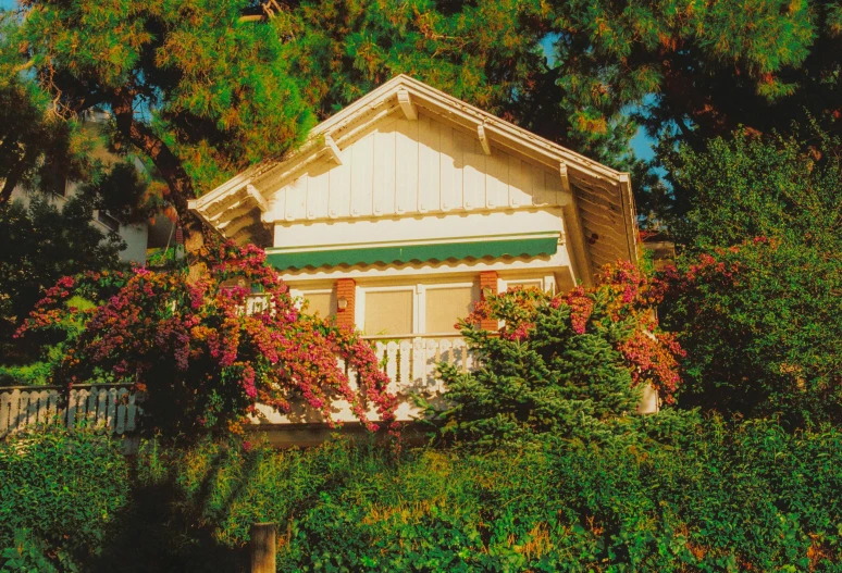 a house with lots of trees in front of it