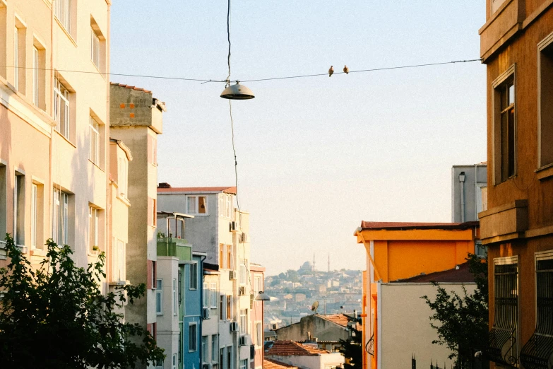 birds are hanging from wires above a small street