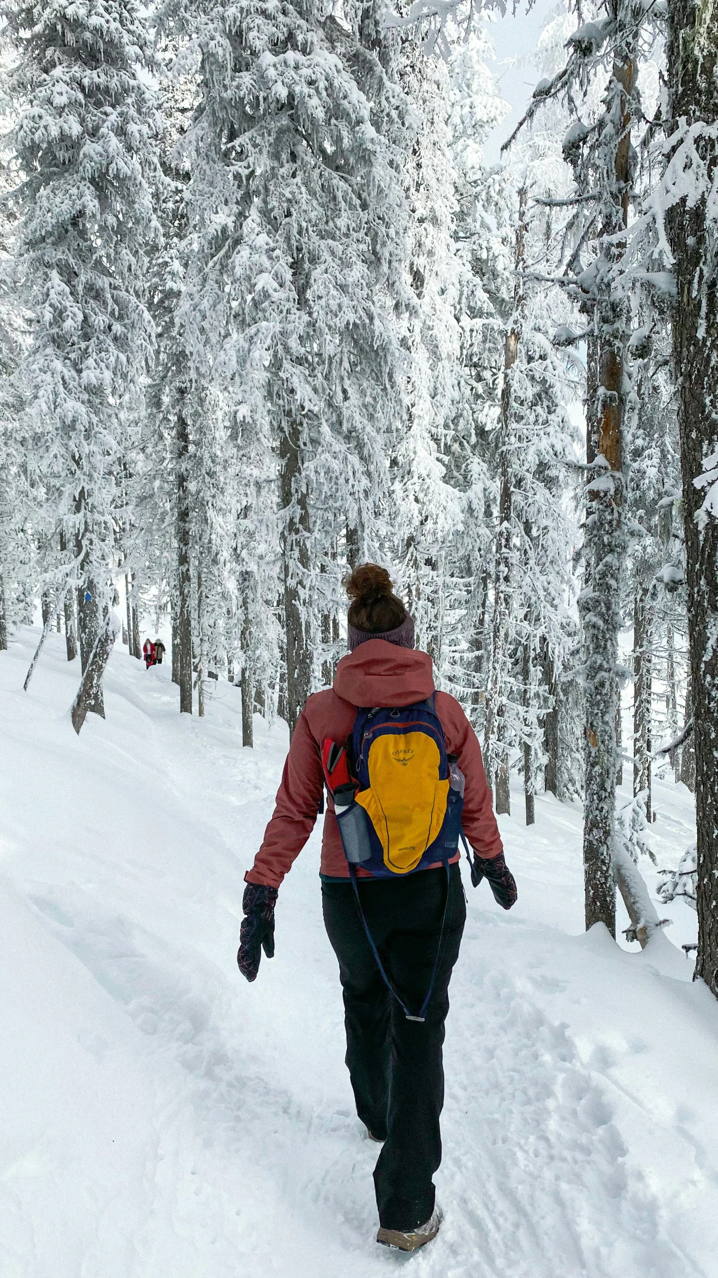 a man walks through the snow carrying some backpacks