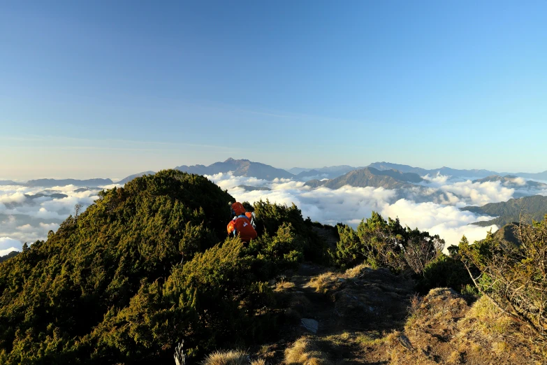 a person sitting in the middle of trees and a mountain above the clouds