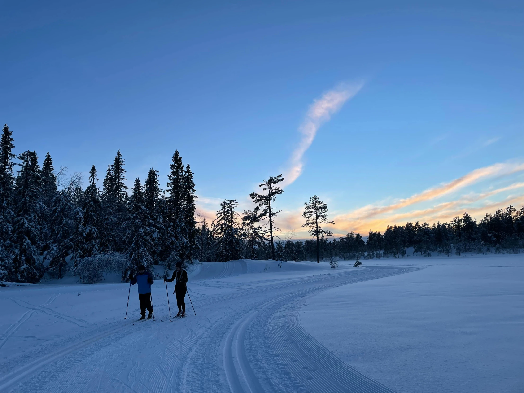 two people are on the snowy path in the woods