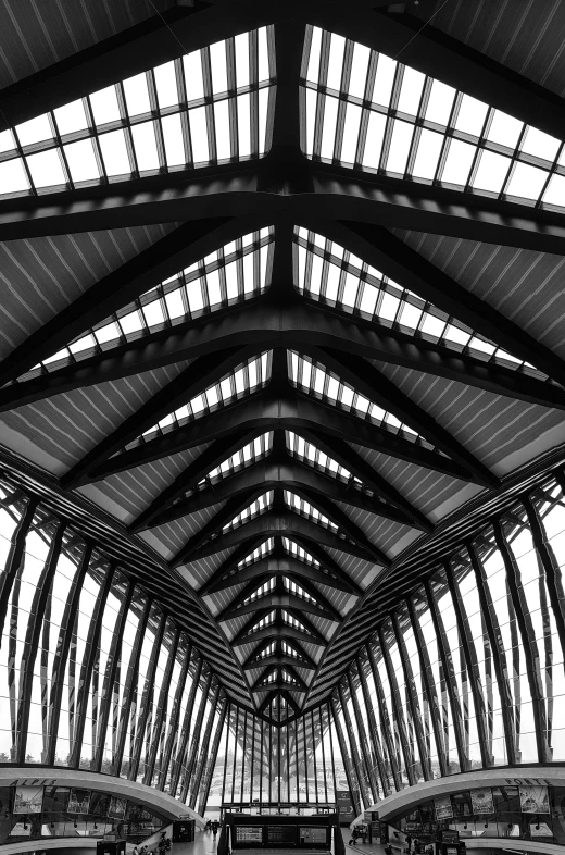 black and white po of large, intricate vaulted roof