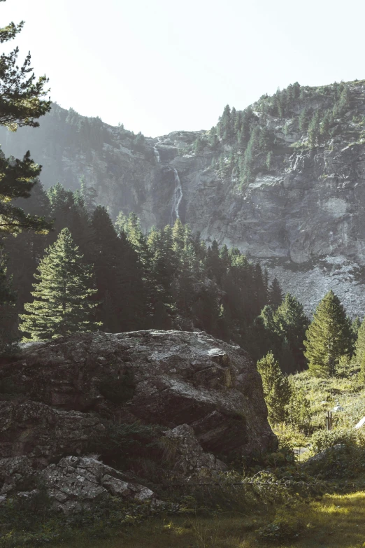 a group of trees sitting next to a mountain