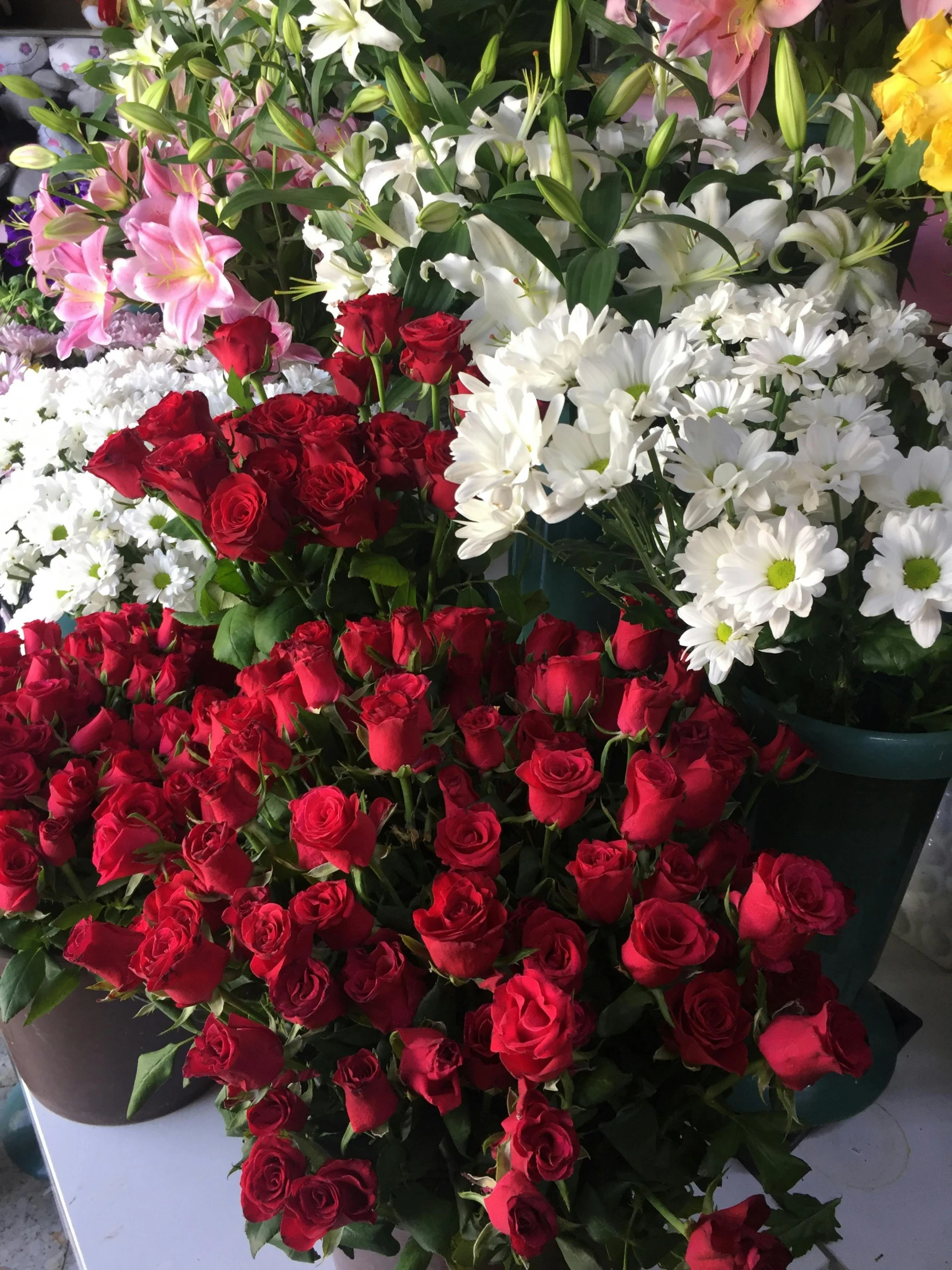 two potted flowers, one large and one small red and white roses