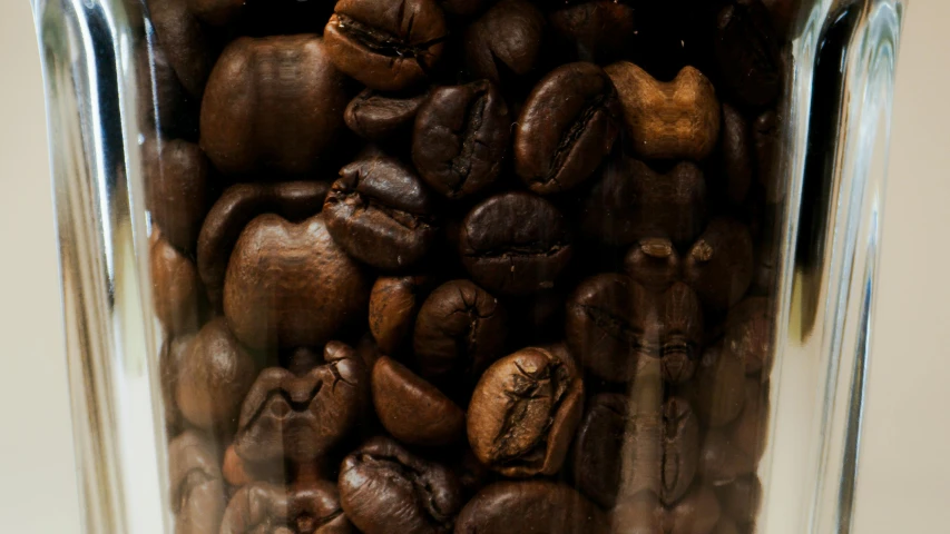 some shiny coffee beans inside of a container