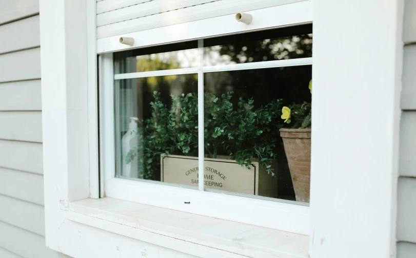 the window with two wooden crates is covered by plants