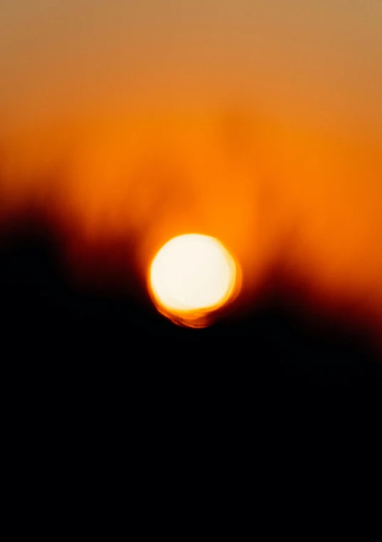 a sunset with a bird flying in the foreground