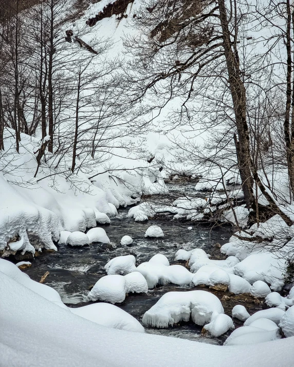 a stream that is in the snow near many trees