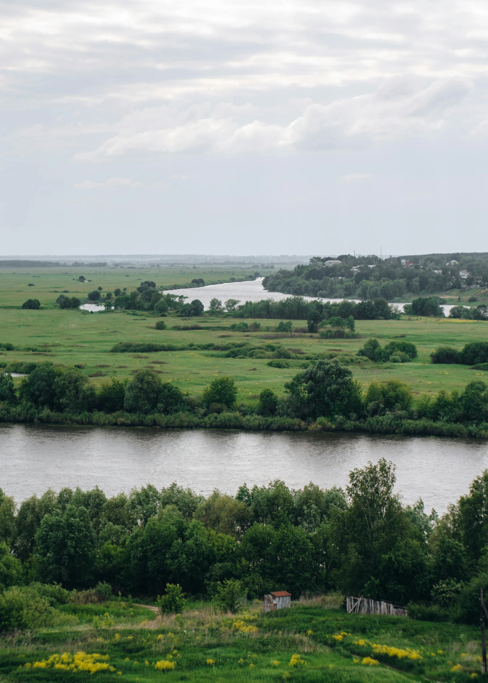 a grassy valley with trees and water