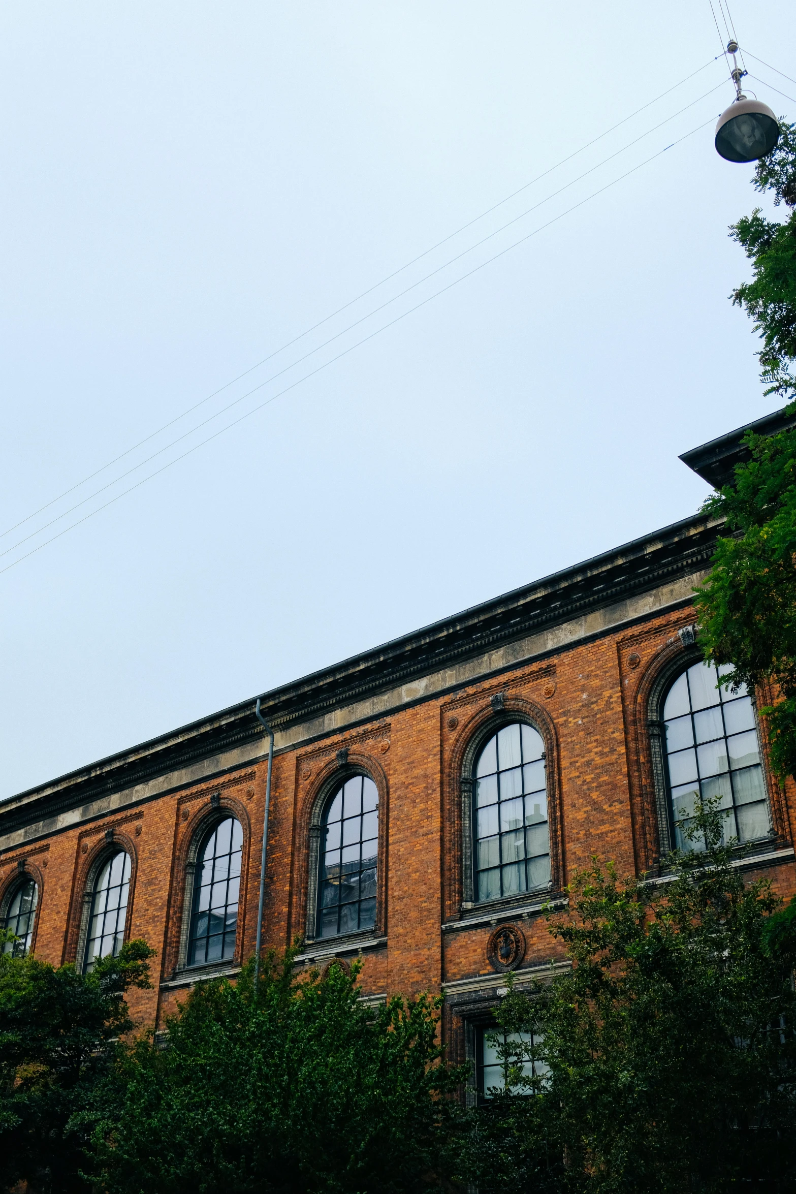 the building is tall and has windows and some trees