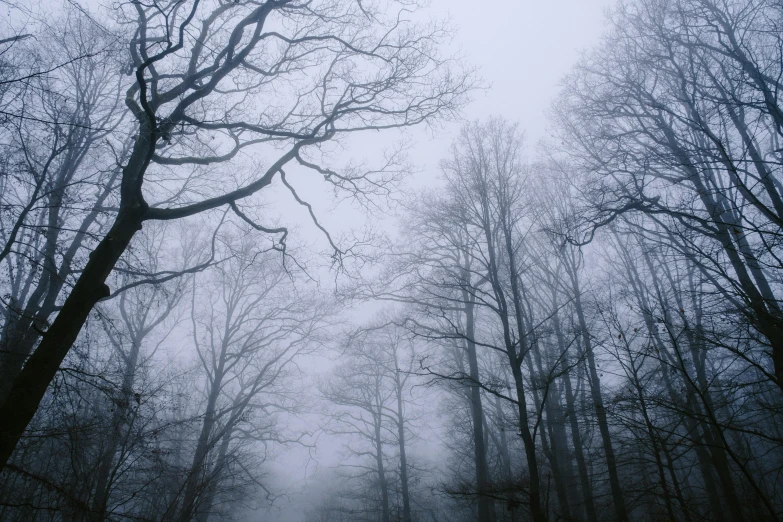 there is a car that is driving down a road in the fog