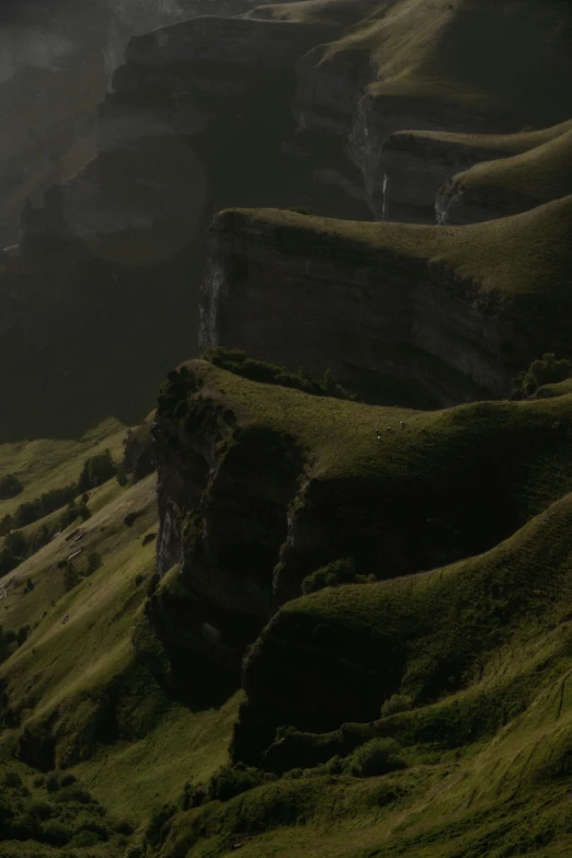 an image of some cows on a green hill