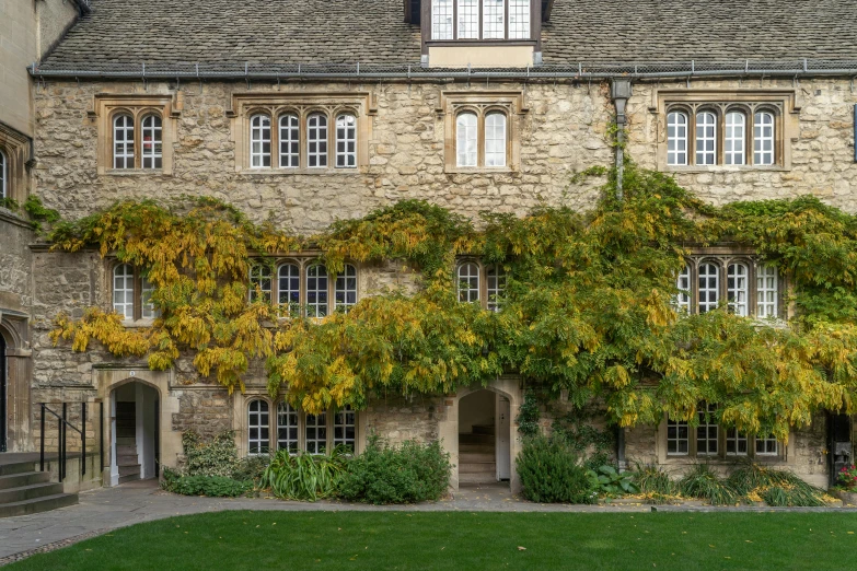 a building with lots of green plants growing on it