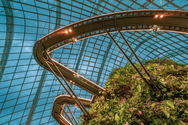 the inside of an indoor garden dome and skylights