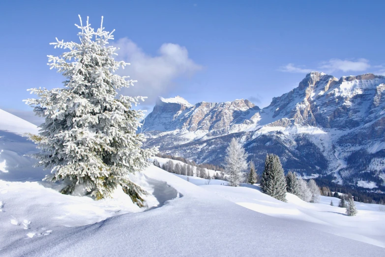 a snowy mountain covered with lots of snow