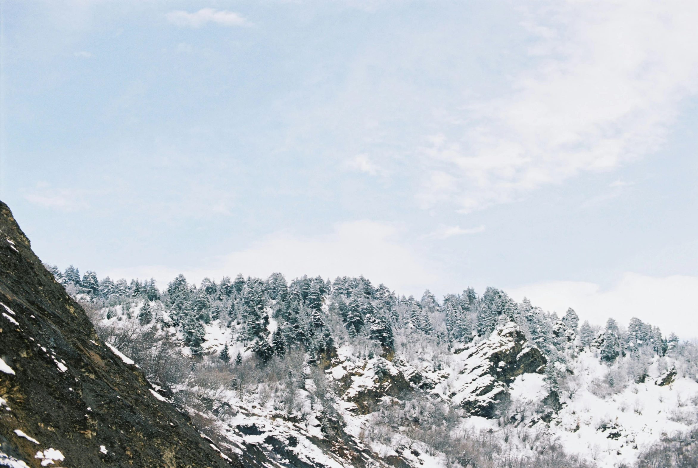 there are many snow covered mountains as a view of trees