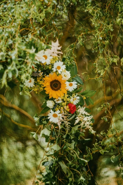 an arrangement of flowers growing up the side of a tree