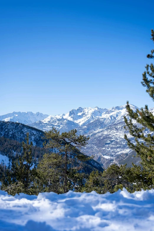 trees and snow are seen in the foreground on top of a mountain