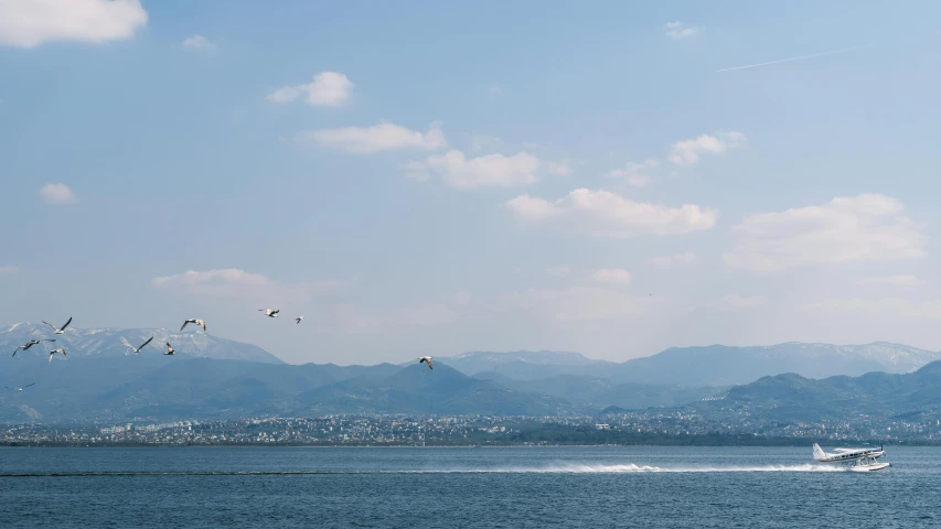 several kites in the air flying over a body of water